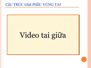 CấU TRÚC GIảI PHẫU VÙNG TAI




       Video tai giữa
 