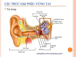 CấU TRÚC GIảI PHẫU VÙNG TAI
   Tai trong
 