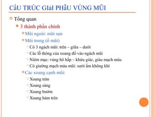 CấU TRÚC GIảI PHẫU VÙNG MŨI
   Tổng quan
     3 thành phần chính
        Mũi ngoài: mũi sụn
        Mũi trong (ổ mũi)

            Có 3 ngách mũi: trên – giữa – dưới
            Các lỗ thông của xoang đổ vào ngách mũi

            Niêm mạc: vùng hô hấp – khứu giác, giàu mạch máu

            Có giường mạch máu mũi: sưởi ấm không khí

          Các xoang cạnh mũi:
            Xoang trán
            Xoang sàng

            Xoang bướm

            Xoang hàm trên
 