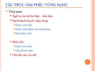 CấU TRÚC GIảI PHẫU VÙNG HọNG
   Tổng quan
     Ngã tư của hệ hô hấp – tiêu hóa
     Hạch bạch huyết vùng họng
        Hạch vòm hầu
        Hạch chân khẩu cái (amydale)

        Hạch đáy lưỡi




     Điều   tiết:
        Khẩu cái mềm
        Nắp thanh môn

     Chổ   đổ của vòi nhĩ
 