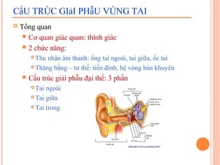 CấU TRÚC GIảI PHẫU VÙNG TAI
   Tổng quan
     Cơ quan giác quan: thính giác
     2 chức năng:
        Thu nhận âm thanh: ống tai ngoài, tai giữa, ốc tai
        Thăng bằng – tư thế: tiền đình, hệ vòng bán khuyên

     Cấu   trúc giải phẫu đại thể: 3 phần
        Tai ngoài
        Tai giữa

        Tai trong
 