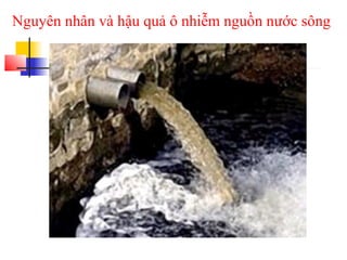 Nguyên nhân và hậu quả ô nhiễm nguồn nước sông
 