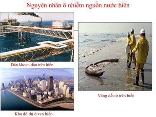 Nguyên nhân ô nhiễm nguồn nước biển
Dàn khoan dầu trên biển
Váng dầu ở trên biển
Khu đô thị ở ven biển
 