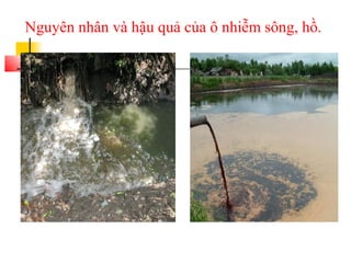 Nguyên nhân và hậu quả của ô nhiễm sông, hồ.
 