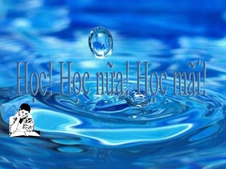  Powerpoint Ô nhiễm môi trường