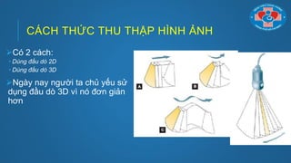 CÁCH THỨC THU THẬP HÌNH ẢNH
Có 2 cách:
 Dùng đầu dò 2D
 Dùng đầu dò 3D
Ngày nay ngƣời ta chủ yếu sử
dụng đầu dò 3D vì nó đơn giản
hơn
 