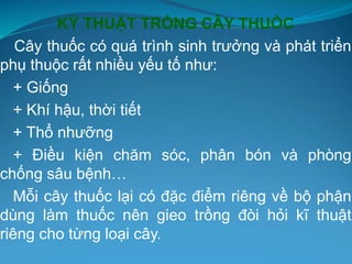 KỸ THUẬT TRỒNG CÂY THUỐC
Cây thuốc có quá trình sinh trưởng và phát triển
phụ thuộc rất nhiều yếu tố như:
+ Giống
+ Khí hậu, thời tiết
+ Thổ nhưỡng
+ Điều kiện chăm sóc, phân bón và phòng
chống sâu bệnh…
Mỗi cây thuốc lại có đặc điểm riêng về bộ phận
dùng làm thuốc nên gieo trồng đòi hỏi kĩ thuật
riêng cho từng loại cây.
 