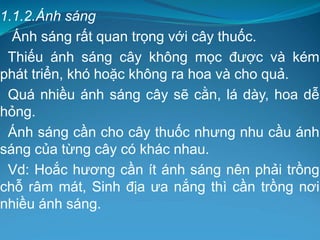 1.1.2.Ánh sáng
Ánh sáng rất quan trọng với cây thuốc.
Thiếu ánh sáng cây không mọc được và kém
phát triển, khó hoặc không ra hoa và cho quả.
Quá nhiều ánh sáng cây sẽ cằn, lá dày, hoa dễ
hỏng.
Ánh sáng cần cho cây thuốc nhưng nhu cầu ánh
sáng của từng cây có khác nhau.
Vd: Hoắc hương cần ít ánh sáng nên phải trồng
chỗ râm mát, Sinh địa ưa nắng thì cần trồng nơi
nhiều ánh sáng.
 