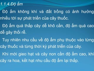 1.1.4.Độ ẩm
Độ ẩm không khí và đất trồng có ảnh hưởng
nhiều tới sự phát triển của cây thuốc.
Độ ẩm quá thấp cây dễ khô cằn, độ ẩm quá cao
dễ gây thối rễ.
Tuy nhiên nhu cầu về độ ẩm phụ thuộc vào từng
cây thuốc và từng thời kỳ phát triển của cây.
Khi mới gieo hạt và cây non cần độ ẩm cao, khi
cây ra hoa, kết hạt nhu cầu độ ẩm lại thấp.
 
