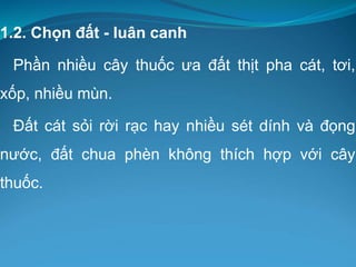 1.2. Chọn đất - luân canh
Phần nhiều cây thuốc ưa đất thịt pha cát, tơi,
xốp, nhiều mùn.
Đất cát sỏi rời rạc hay nhiều sét dính và đọng
nước, đất chua phèn không thích hợp với cây
thuốc.
 
