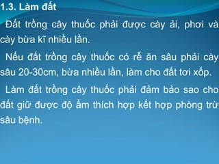 1.3. Làm đất
Đất trồng cây thuốc phải được cày ải, phơi và
cày bừa kĩ nhiều lần.
Nếu đất trồng cây thuốc có rễ ăn sâu phải cày
sâu 20-30cm, bừa nhiều lần, làm cho đất tơi xốp.
Làm đất trồng cây thuốc phải đảm bảo sao cho
đất giữ được độ ẩm thích hợp kết hợp phòng trừ
sâu bệnh.
 