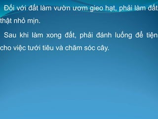 Đối với đất làm vườn ươm gieo hạt, phải làm đất
thật nhỏ mịn.
Sau khi làm xong đất, phải đánh luống để tiện
cho việc tưới tiêu và chăm sóc cây.
 
