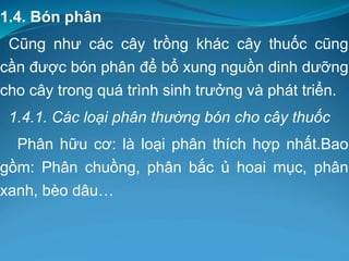 1.4. Bón phân
Cũng như các cây trồng khác cây thuốc cũng
cần được bón phân để bổ xung nguồn dinh dưỡng
cho cây trong quá trình sinh trưởng và phát triển.
1.4.1. Các loại phân thường bón cho cây thuốc
Phân hữu cơ: là loại phân thích hợp nhất.Bao
gồm: Phân chuồng, phân bắc ủ hoai mục, phân
xanh, bèo dâu…
 