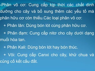 -Phân vô cơ: Cung cấp kịp thời các chất dinh
dưỡng cho cây và bổ sung thêm các yếu tố mà
phân hữu cơ còn thiếu.Các loại phân vô cơ:
+ Phân lân: Dùng bón lót cùng phân hữu cơ.
+ Phân đạm: Cung cấp nitơ cho cây dưới dạng
muối hòa tan.
+ Phân Kali: Dùng bón lót hay bón thúc.
+ Vôi: Cung cấp Canxi cho cây, khử chua và
củng cố kết cấu đất.
 
