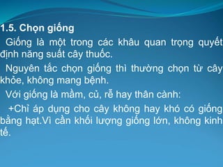 1.5. Chọn giống
Giống là một trong các khâu quan trọng quyết
định năng suất cây thuốc.
Nguyên tắc chọn giống thì thường chọn từ cây
khỏe, không mang bệnh.
Với giống là mầm, củ, rễ hay thân cành:
+Chỉ áp dụng cho cây không hay khó có giống
bằng hạt.Vì cần khối lượng giống lớn, không kinh
tế.
 