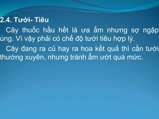 2.4. Tưới- Tiêu
Cây thuốc hầu hết là ưa ẩm nhưng sợ ngập
úng. Vì vậy phải có chế độ tưới tiêu hợp lý.
Cây đang ra củ hay ra hoa kết quả thì cần tưới
thường xuyên, nhưng tránh ẩm ướt quá mức.
 