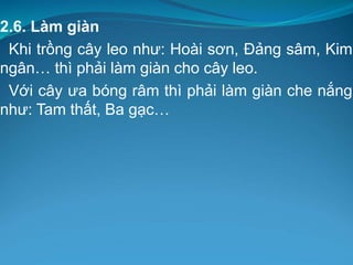 2.6. Làm giàn
Khi trồng cây leo như: Hoài sơn, Đảng sâm, Kim
ngân… thì phải làm giàn cho cây leo.
Với cây ưa bóng râm thì phải làm giàn che nắng
như: Tam thất, Ba gạc…
 