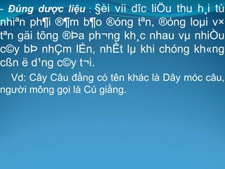 - Đúng dược liệu : §èi víi dîc liÖu thu h¸i tù
nhiªn ph¶i ®¶m b¶o ®óng tªn, ®óng loµi v×
tªn gäi tõng ®Þa ph¬ng kh¸c nhau vµ nhiÒu
c©y bÞ nhÇm lÉn, nhÊt lµ khi chóng kh«ng
cßn ë d¹ng c©y t¬i.
Vd: Cây Câu đằng có tên khác là Dây móc câu,
người mông gọi là Cú giằng.
 