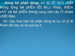 - Đúng bộ phận dùng: v× tû lÖ ho¹t chÊt
trong tõng bé phËn rÊt kh¸c nhau, thËm
chÝ cã bé phËn trong cùng một cây l¹i chøa
chÊt ®éc.
Vd: Cây hoa hòe bộ phận dùng là nụ có tỷ lệ
Rutin rất cao, lá và quả lại ít.
 