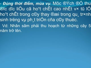 - Đúng thời điểm, mùa vụ: Môc ®Ých ®Ó thu
®îc dîc liÖu cã ho¹t chÊt cao nhÊt v× tû lÖ
ho¹t chÊt trong c©y thay ®æi trong qu¸ tr×nh
sinh trëng vµ ph¸t triÓn cña c©y thuèc.
Vd: Nhân sâm phải thu hoạch từ những cây 5
năm trở lên.
 