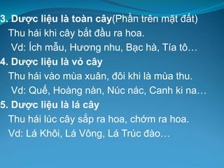 3. Dược liệu là toàn cây(Phần trên mặt đất)
Thu hái khi cây bắt đầu ra hoa.
Vd: Ích mẫu, Hương nhu, Bạc hà, Tía tô…
4. Dược liệu là vỏ cây
Thu hái vào mùa xuân, đôi khi là mùa thu.
Vd: Quế, Hoàng nàn, Núc nác, Canh ki na…
5. Dược liệu là lá cây
Thu hái lúc cây sắp ra hoa, chớm ra hoa.
Vd: Lá Khôi, Lá Vông, Lá Trúc đào…
 