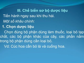 III. Chế biến sơ bộ dược liệu
Tiến hành ngay sau khi thu hái.
Một số khâu chính:
1. Chọn dược liệu
Chọn đúng bộ phận dùng làm thuốc, loại bỏ tạp
chất, các bộ phận khác của cây, các phần nằm
trong bộ phận dùng cần loại bỏ.
Vd: Cúc hoa cần bỏ lá và cuống hoa.
 