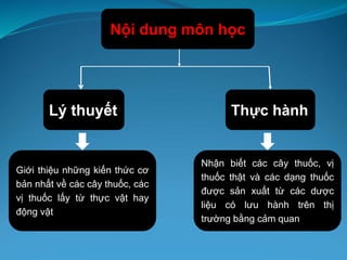 Nội dung môn học
Thực hành
Giới thiệu những kiến thức cơ
bản nhất về các cây thuốc, các
vị thuốc lấy từ thực vật hay
động vật
Lý thuyết
Nhận biết các cây thuốc, vị
thuốc thật và các dạng thuốc
được sản xuất từ các dược
liệu có lưu hành trên thị
trường bằng cảm quan
 