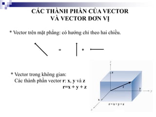 CÁC THÀNH PHẦN CỦA VECTOR
VÀ VECTOR ĐƠN VỊ
* Vector trên mặt phẳng: có hướng chỉ theo hai chiều.
* Vector trong không gian:
Các thành phần vector r: x, y và z
r=x + y + z
 