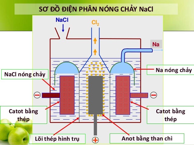 Hình ảnh có liên quan