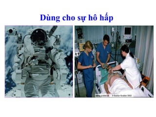 Dùng cho sự hô hấp
 