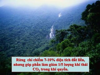 Rừng chỉ chiếm 7-10% diện tích đất liền,
nhưng góp phần làm giảm 1/5 lượng khí thải
CO2 trong khí quyển.
 