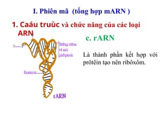 Marn Tarn Rarn bai 2 sinh hoc 12cb trung hoc pho thong.ppt