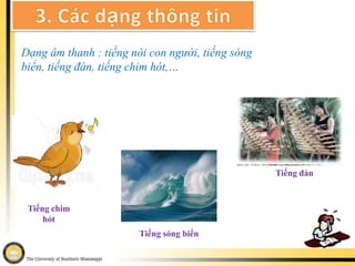 Dạng phi số (văn bản, hình ảnh, âm thanh,…)½    3/5 1   4   70.5    0.01Dạng sốDạng phi số