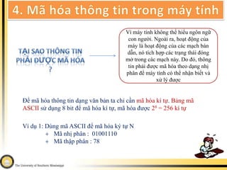 3. Các dạng thông tinDạng hình ảnh : tranh vẽ, ảnh chụp, bản đồ, băng hình, biển báo,….Ảnh chụpTranh vẽBản đồ