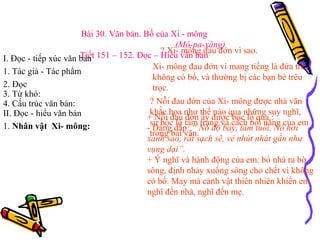 Bai 30 bo cua ximong | PPT