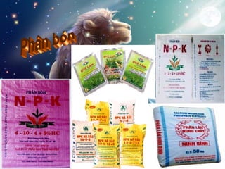 Bai 33 axit_sunfuric_va_muoi_sunfat_t5_hxj2ug2bxd7o_021155