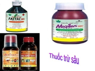 Bai 33 axit_sunfuric_va_muoi_sunfat_t5_hxj2ug2bxd7o_021155