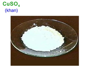 CuSO4
(khan)
 