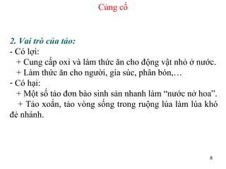 Củng cố 2. Vai trò của tảo:  - Có lợi:  + Cung cấp oxi và làm thức ăn cho động vật nhỏ ở nước. + Làm thức ăn cho người, gia súc, phân bón,… Có hại:  + Một số tảo đơn bào sinh sản nhanh làm “nước nở hoa”. + Tảo xoắn, tảo vòng sống trong ruộng lúa làm lúa khó đẻ nhánh. 