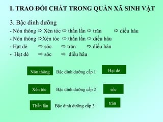 I. TRAO ĐỔI CHẤT TRONG QUẦN XÃ SINH VẬT
3. Bậc dinh dưỡng
- Nón thông  Xén tóc  thằn lằn  trăn  diều hâu
- Nón thông Xén tóc  thằn lằn  diều hâu
- Hạt dẻ  sóc  trăn  diều hâu
- Hạt dẻ  sóc  diều hâu
Nón thông Hạt dẻ
Xén tóc sóc
Thằn lằn
trăn
Bậc dinh dưỡng cấp 1
Bậc dinh dưỡng cấp 2
Bậc dinh dưỡng cấp 3
 