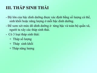 III. THÁP SINH THÁI
- Độ lớn của bậc dinh dưỡng được xác định bằng số lượng cá thể,
sinh khối hoặc năng lượng ở mỗi bậc dinh dưỡng.
- Để xem xét mức đô dinh dưỡng ở từng bậc và toàn bộ quần xã,
người ta xây các tháp sinh thái.
- Có 3 loại tháp sinh thái:
+ Tháp số lượng
+ Tháp sinh khối
+ Tháp năng lượng
 