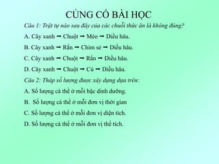 CỦNG CỐ BÀI HỌC
Câu 1: Trật tự nào sau đây của các chuỗi thức ăn là không đúng?
A. Cây xanh  Chuột  Mèo  Diều hâu.
B. Cây xanh  Rắn  Chim sẻ  Diều hâu.
C. Cây xanh  Chuột  Rắn  Diều hâu.
D. Cây xanh  Chuột  Cú  Diều hâu.
Câu 2: Tháp số lượng được xây dựng dựa trên:
A. Số lượng cá thể ở mỗi bậc dinh dưỡng.
B. Số lượng cá thể ở mỗi đơn vị thời gian
C. Số lượng cá thể ở mỗi đơn vị diện tích.
D. Số lượng cá thể ở mỗi đơn vị thể tích.
 