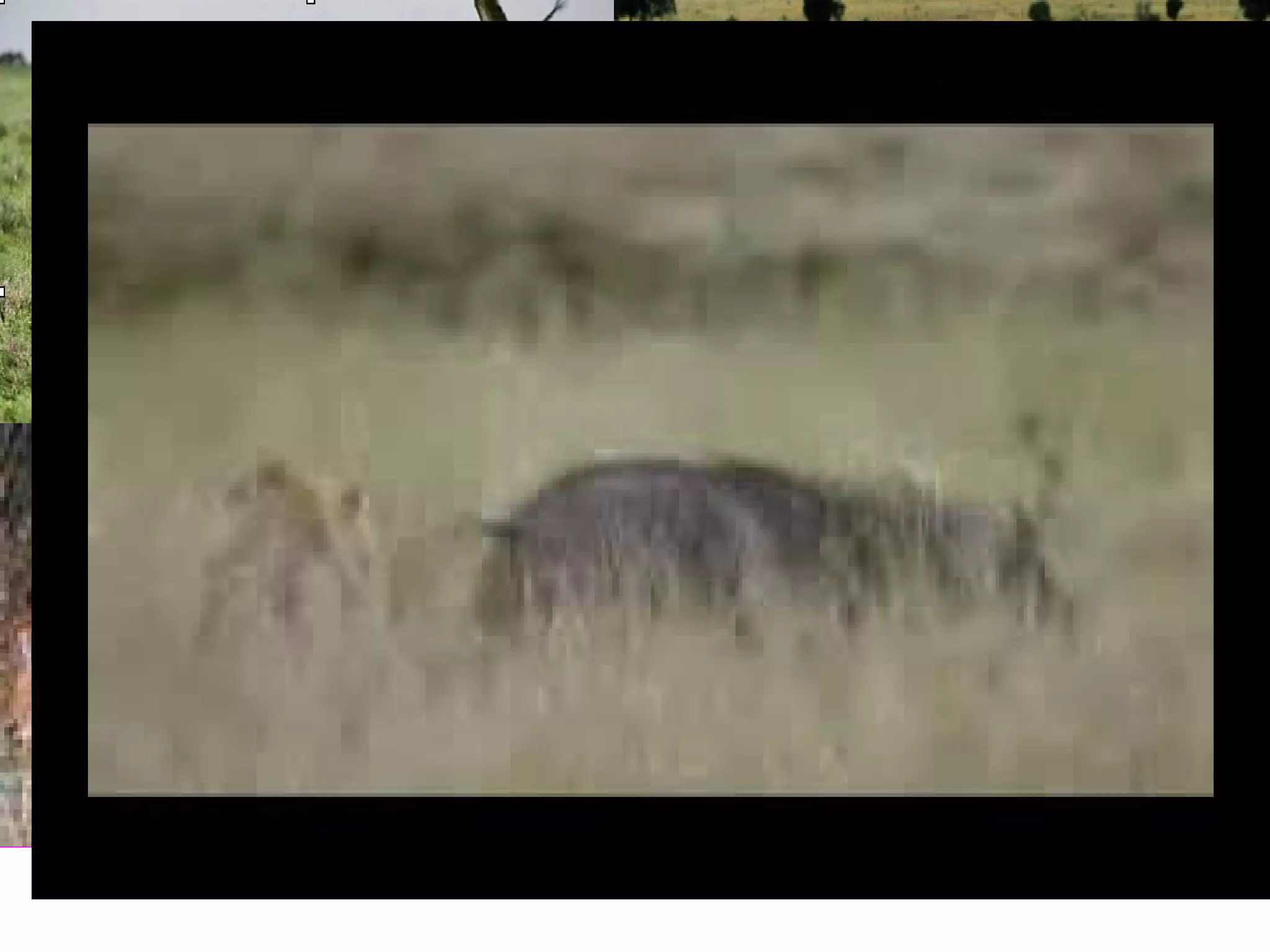 Xem một đoạn phim  