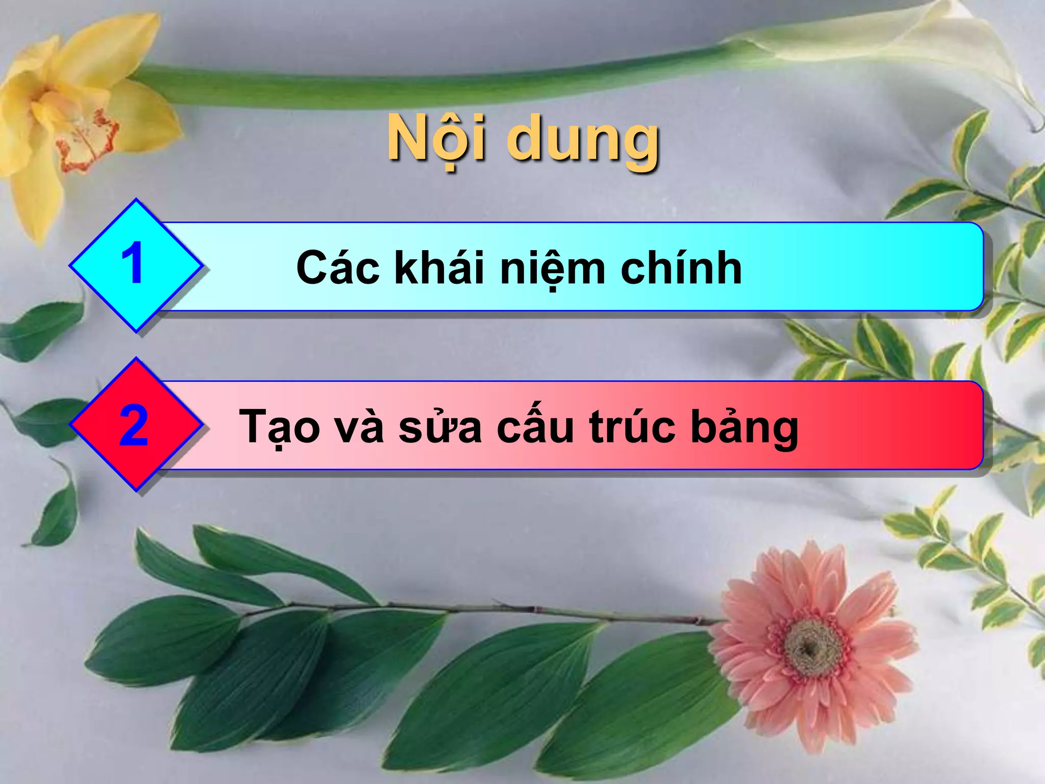 Nội dung
1

Các khái niệm chính

2

Tạo và sửa cấu trúc bảng

 