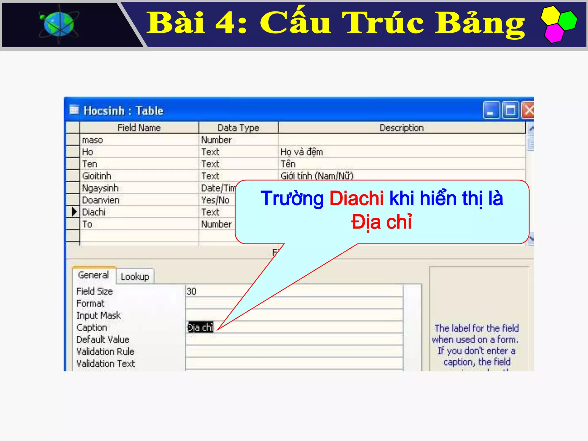 Trường Diachi khi hiển thị là
Địa chỉ

 