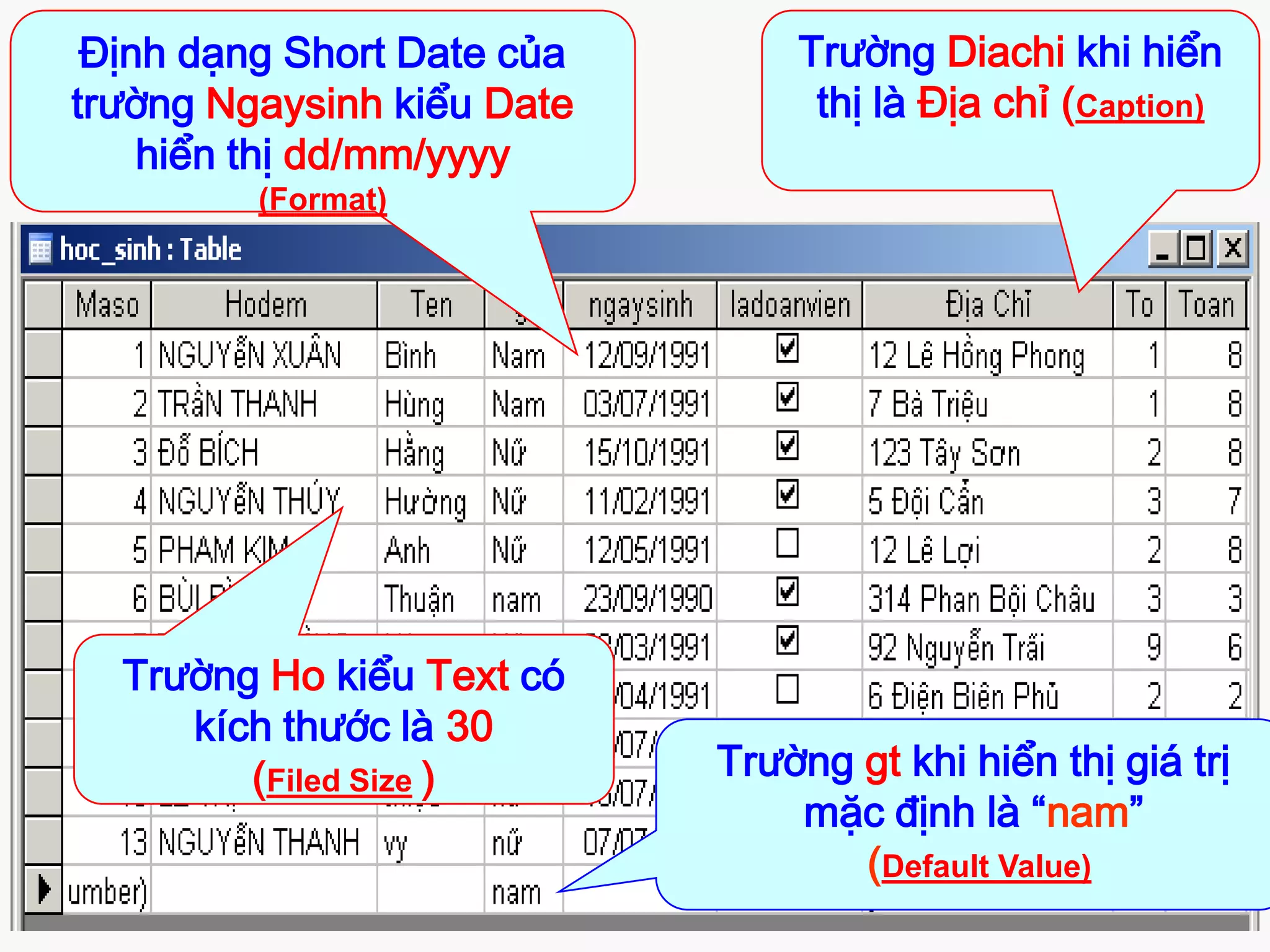 Định dạng Short Date của
trường Ngaysinh kiểu Date
hiển thị dd/mm/yyyy

Trường Diachi khi hiển
thị là Địa chỉ (Caption)

(Format)

Trường Ho kiểu Text có
kích thước là 30
(Filed Size )

Trường gt khi hiển thị giá trị
mặc định là “nam”
(Default Value)

 