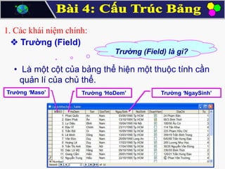 1. Các khái niệm chính:
 Trường (Field)
Trường (Field) là gì?

• Là một cột của bảng thể hiện một thuộc tính cần
quản lí của chủ thể.
Trường ‘Maso’

Trường ‘HoDem’

Trường ‘NgaySinh’

 