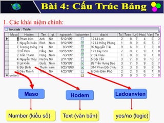 1. Các khái niệm chính:

Maso

Number (kiểu số)

Hodem

Ladoanvien

Text (văn bản)

yes/no (logic)

 