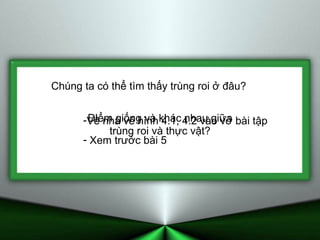 Chúng ta có thể tìm thấy trùng roi ở đâu? Điểm giống và khác nhau giữa trùng roi và thực vật? Về nhà vẽ hình 4.1, 4.2 vào vở bài tập Xem trước bài 5 Baøi 4:  Truøng roi 