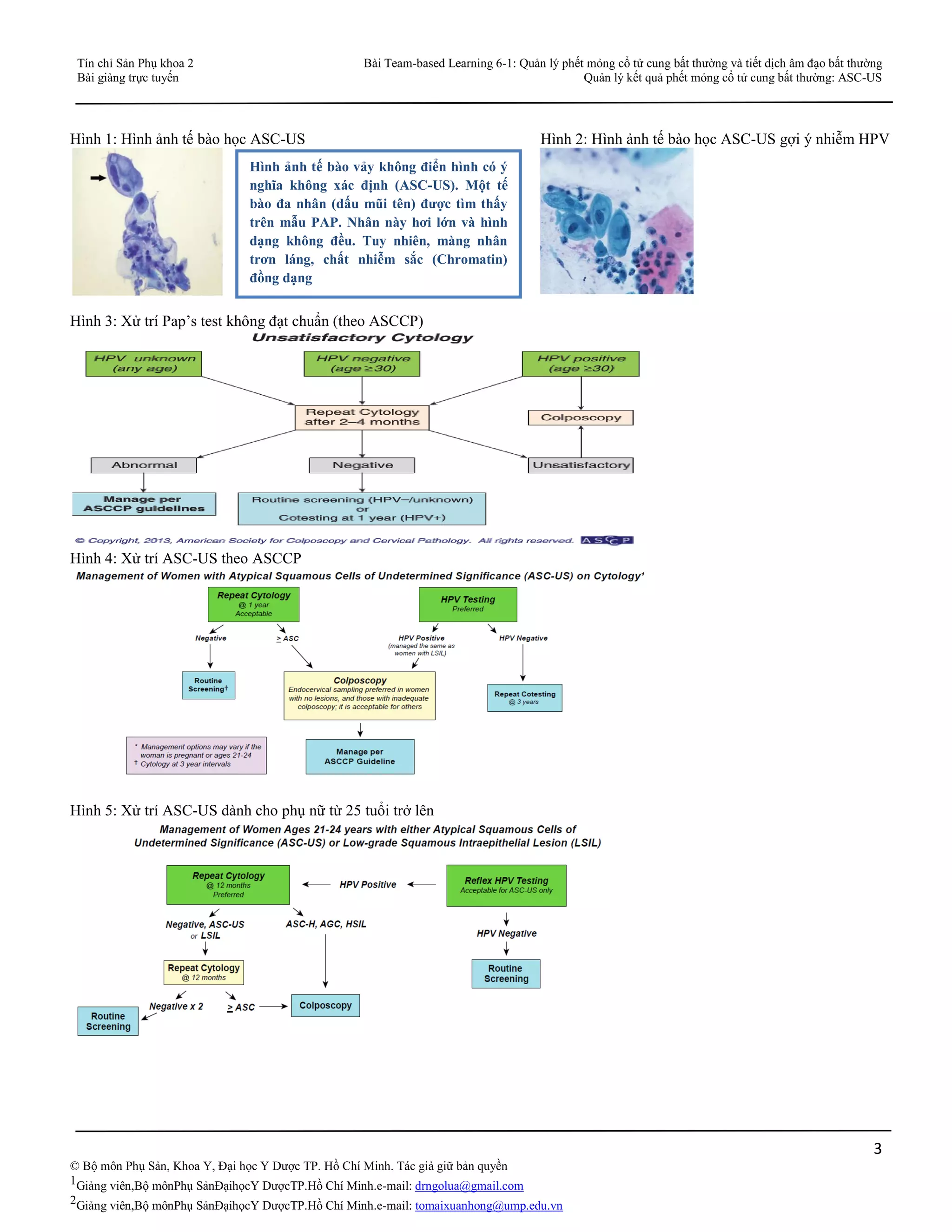 Asccp Algorithm Ascus Pdf PAPS SMEAR - QUẢN LÝ KẾT QUẢ PHẾT MỎNG CỔ TỬ CUNG BẤT THƯỜNG ASCUS | PDF